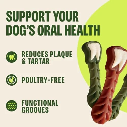 Whimzees Natural Dog Dental Treat XS 4.2 oz (119 g) | VOHC Accepted Chews for Clean Teeth & Fresh Breath thumbnail 5
