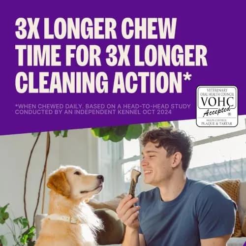 Whimzees Brushzees Natural Dog Dental Treat Medium Size 4 Count | VOHC Accepted Chews for Dogs thumbnail 2