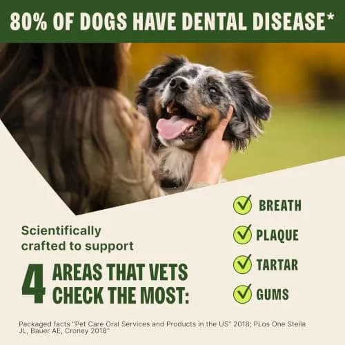 Whimzees Brushzees Natural Dog Dental Treat Small Size 4.2 oz (119 g) Bag, 8 Count | VOHC Accepted Chews for Daily Dental Care thumbnail 6