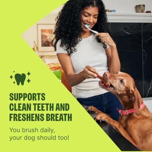 Whimzees Brushzees Natural Dog Dental Treat Small Size 4.2 oz (119 g) Bag, 8 Count | VOHC Accepted Chews for Daily Dental Care thumbnail 4