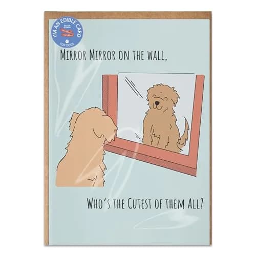 Poochie-Pets Edible Greeting Card for Dogs | Bacon-Flavored Dog Treat Gift with Edible Ink Pen, Gluten & Grain Free, Made in USA thumbnail 1