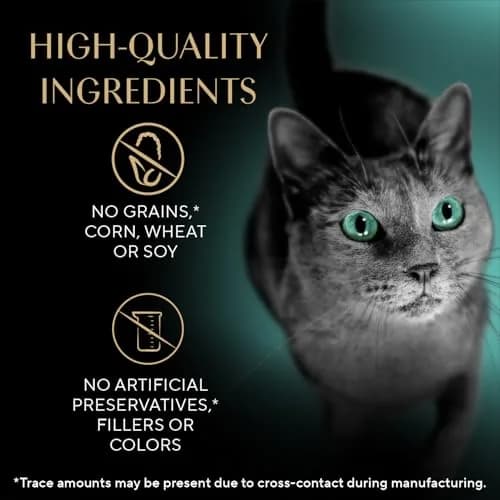 Sheba Premium Puree Lickable Cat Treats, Seared Tuna, 4 Count, 11 Pack | Grain-Free, Real Tuna, Squeezable Tube thumbnail 7