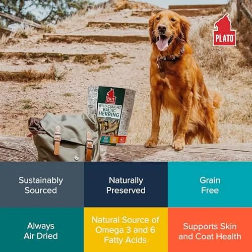 PLATO Fish Dog Treats Wild Caught Baltic Herring 8.5 oz | Natural Omega-3 Support thumbnail 5