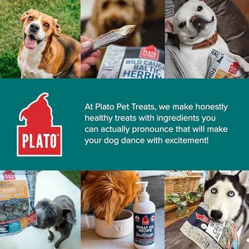 PLATO Fish Dog Treats Wild Caught Baltic Herring 8.5 oz | Natural Omega-3 Support thumbnail 7