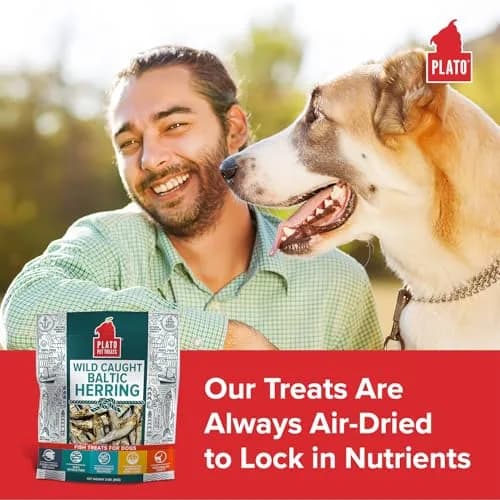 PLATO Fish Dog Treats Wild Caught Baltic Herring 8.5 oz | Natural Omega-3 Support thumbnail 3