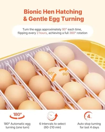 VEVOR 24 Egg Incubator with Auto Turner & Candler | 2.27 kg (5 lb) | 24-Egg Capacity thumbnail 4