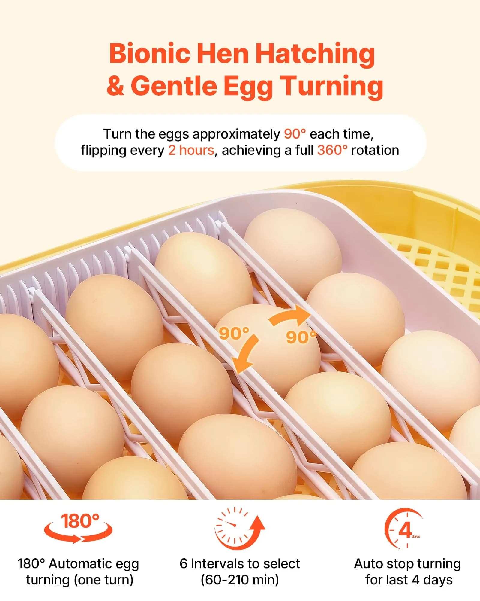 VEVOR 24 Egg Incubator with Auto Turner & Candler | 2.27 kg (5 lb) | 24-Egg Capacity - view 4