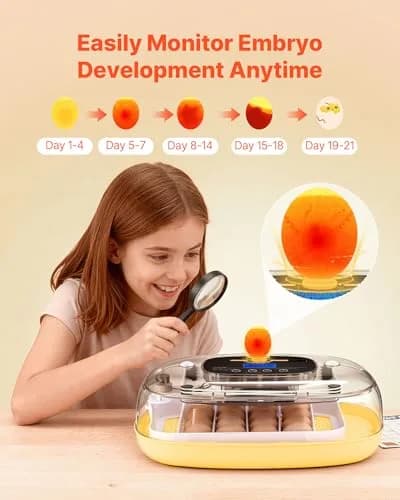 VEVOR 24 Egg Incubator with Auto Turner & Candler | 2.27 kg (5 lb) | 24-Egg Capacity thumbnail 5
