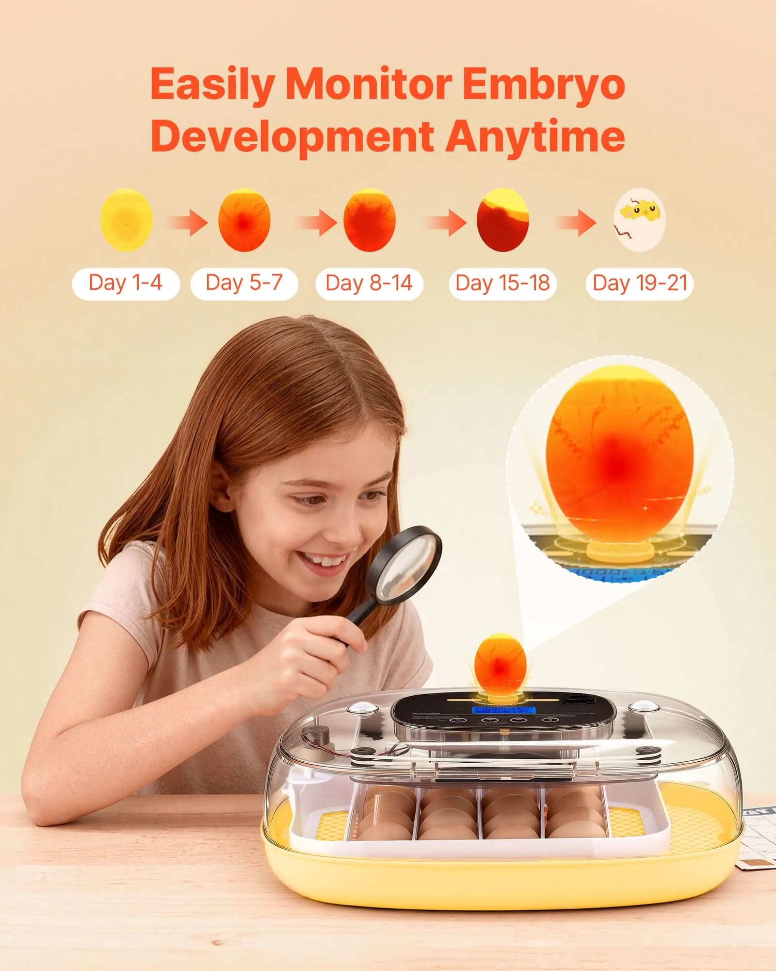 VEVOR 24 Egg Incubator with Auto Turner & Candler | 2.27 kg (5 lb) | 24-Egg Capacity - view 5