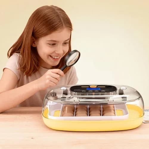 VEVOR 24 Egg Incubator with Auto Turner & Candler | 2.27 kg (5 lb) | 24-Egg Capacity thumbnail 8