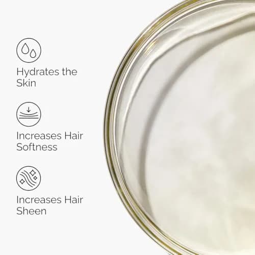 The Ordinary 100% Organic Cold-Pressed Moroccan Argan Oil 2x30ml (2 Fl Oz) | Nourishing Skin & Hair Treatment thumbnail 3