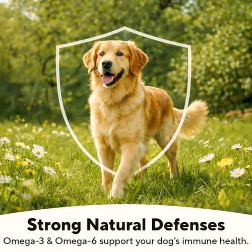 Dave's Pet Food Wet Canned Dog Food, Chunky Chicken Stew in Gravy, 13.2oz | Supports digestion & immune health thumbnail 5