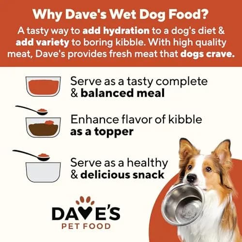 Dave's Pet Food Wet Canned Dog Food, Chunky Chicken Stew in Gravy, 13.2oz | Supports digestion & immune health thumbnail 3