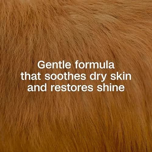 ADAMS Plus Botanicals Flea & Tick Shampoo with Precor for Dogs, Cats, Puppies & Kittens 473ml (16 Ounces) | Gentle, Plant-Based Formula for Sensitive Skin thumbnail 3