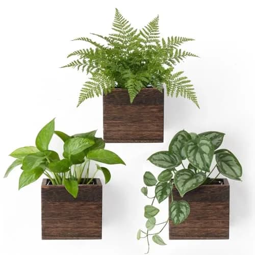 Dahey Small Wall Hanging Planters 3 Pack 4 Inch Wood Pot with Plastic Liner | Rustic Wall Decor for Indoor & Outdoor thumbnail 1
