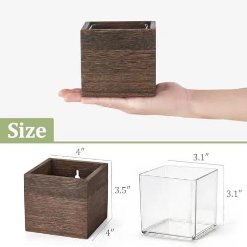 Dahey Small Wall Hanging Planters 3 Pack 4 Inch Wood Pot with Plastic Liner | Rustic Wall Decor for Indoor & Outdoor thumbnail 3