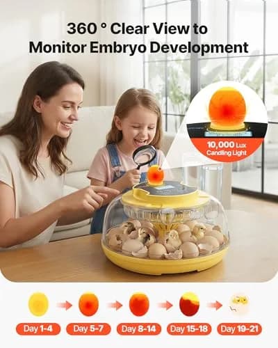 VEVOR 18-Egg Incubator Automatic Poultry Egg Turner with LED Candler | 360° Air Circulation & Humidity Control thumbnail 5