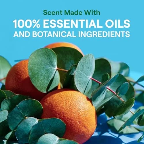 Seventh Generation Concentrated Liquid Laundry Detergent Fresh Scent 1.18 L (40 Fl Oz) | USDA Biobased Formula Fights Stains & Odor thumbnail 6