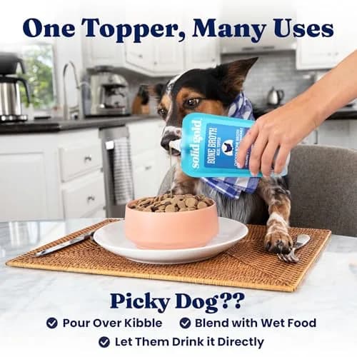 Solid Gold Chicken Bone Broth for Dogs | Gut Health & Hydration Support (80-120 chars) thumbnail 6