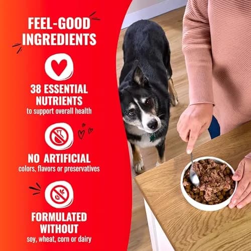 Good ‘N’ Tasty Pâté Suppers High Protein Wet Dog Food Variety Pack, 24 Count | Complete & Balanced for Adult Dogs thumbnail 6