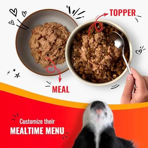 Good ‘N’ Tasty Pâté Suppers High Protein Wet Dog Food Variety Pack, 24 Count | Complete & Balanced for Adult Dogs thumbnail 7