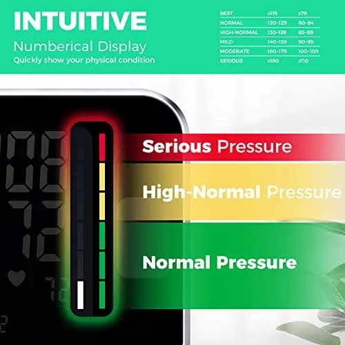 BENECEN Automatic Arm Blood Pressure Monitor with Backlit LCD & Storage Bag | FDA Cleared, 240 Readings, Adjustable Cuff thumbnail 3