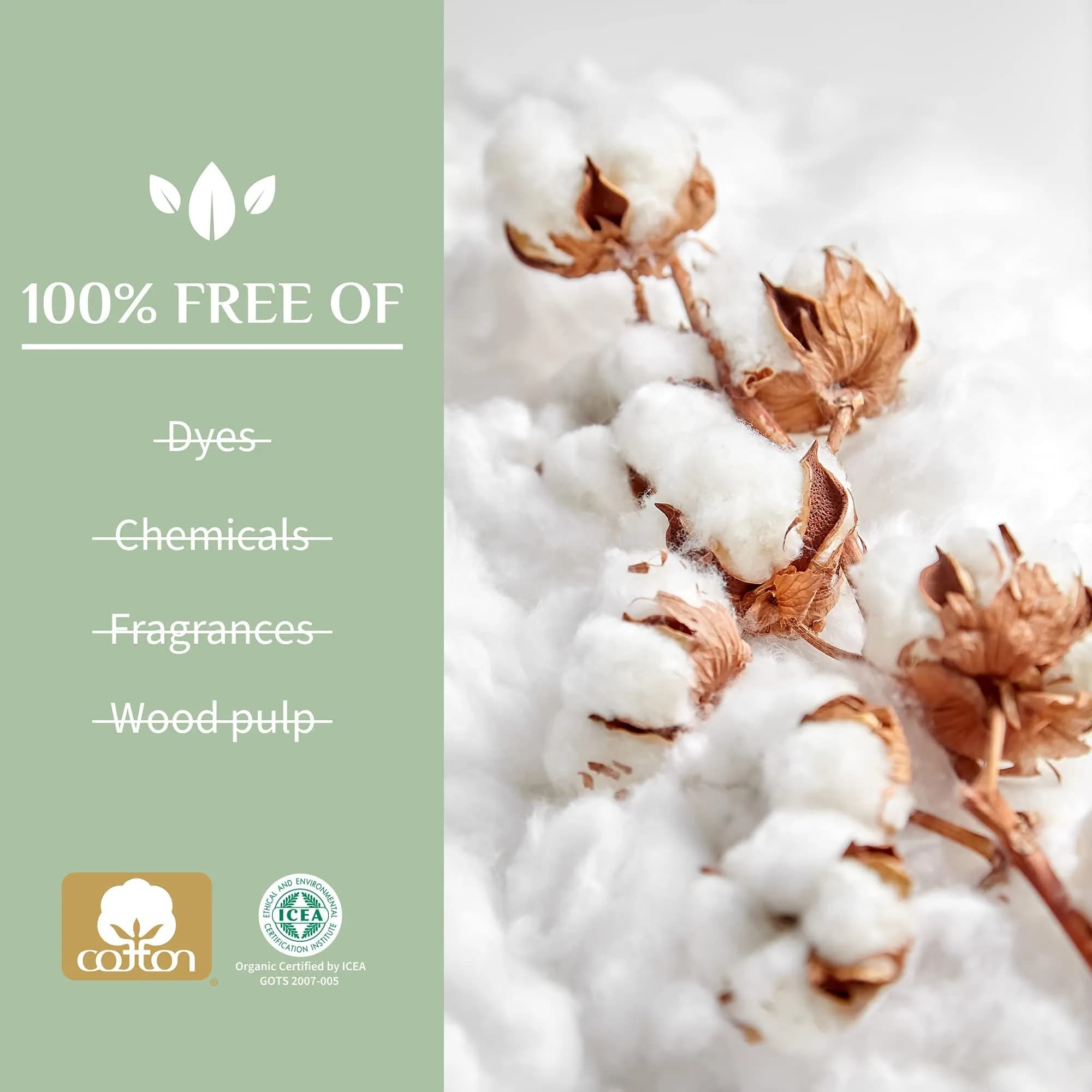 Organyc 100% Certified Organic Cotton Swabs, 400 Count (200 Count Pack of 2) | GOTS Certified Organic Cotton - view 2
