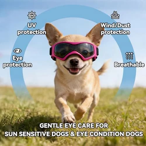 PETLESO Pink Dog Goggles for Small Breeds & Cats | 3.74 in Length, 1.38 in Width thumbnail 4