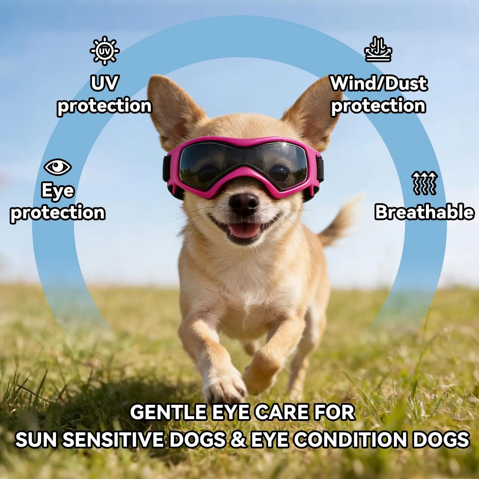 PETLESO Pink X-Small Dog Goggles: Anti-UV Pet Sunglasses for Tiny Breeds - view 4