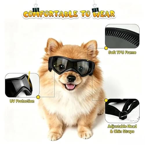 PETLESO Black XS Dog Goggles | UV Protection for Small Breeds & Cats (3.74" L x 1.38" W) thumbnail 3