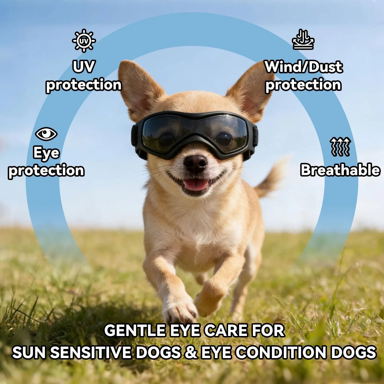 PETLESO Black XS Dog Goggles | UV Protection for Small Breeds & Cats (3.74" L x 1.38" W) - view 4