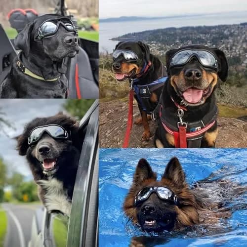 Enjoying Jet Black Dog Goggles for Large Breeds with UV Protection thumbnail 2