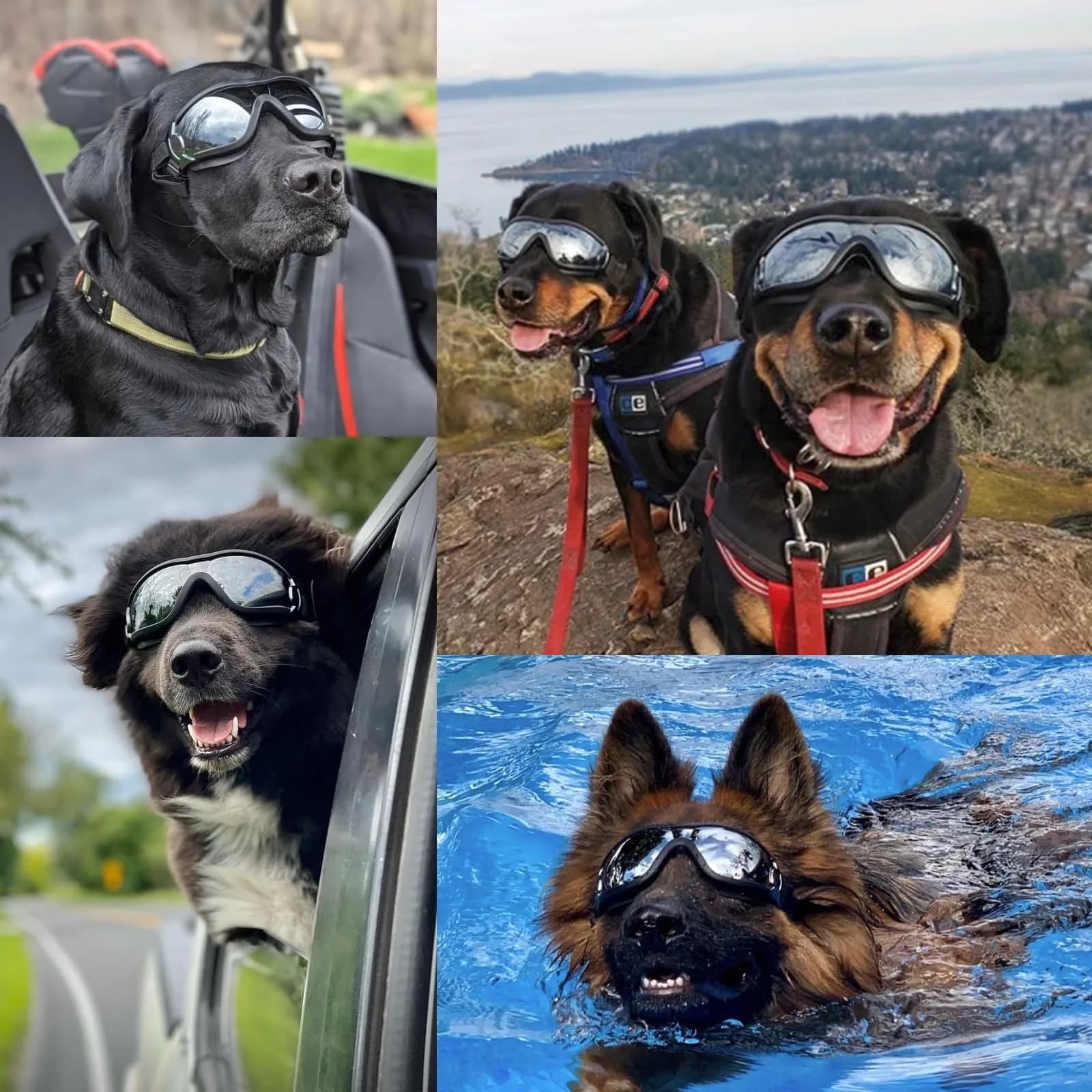 Enjoying Jet Black Dog Goggles for Large Breeds with UV Protection - view 2