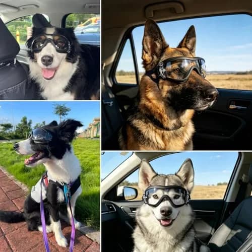 Enjoying Ultra Clear Dog Goggles for Large Breeds | UV Protection, Windproof & Adjustable thumbnail 2