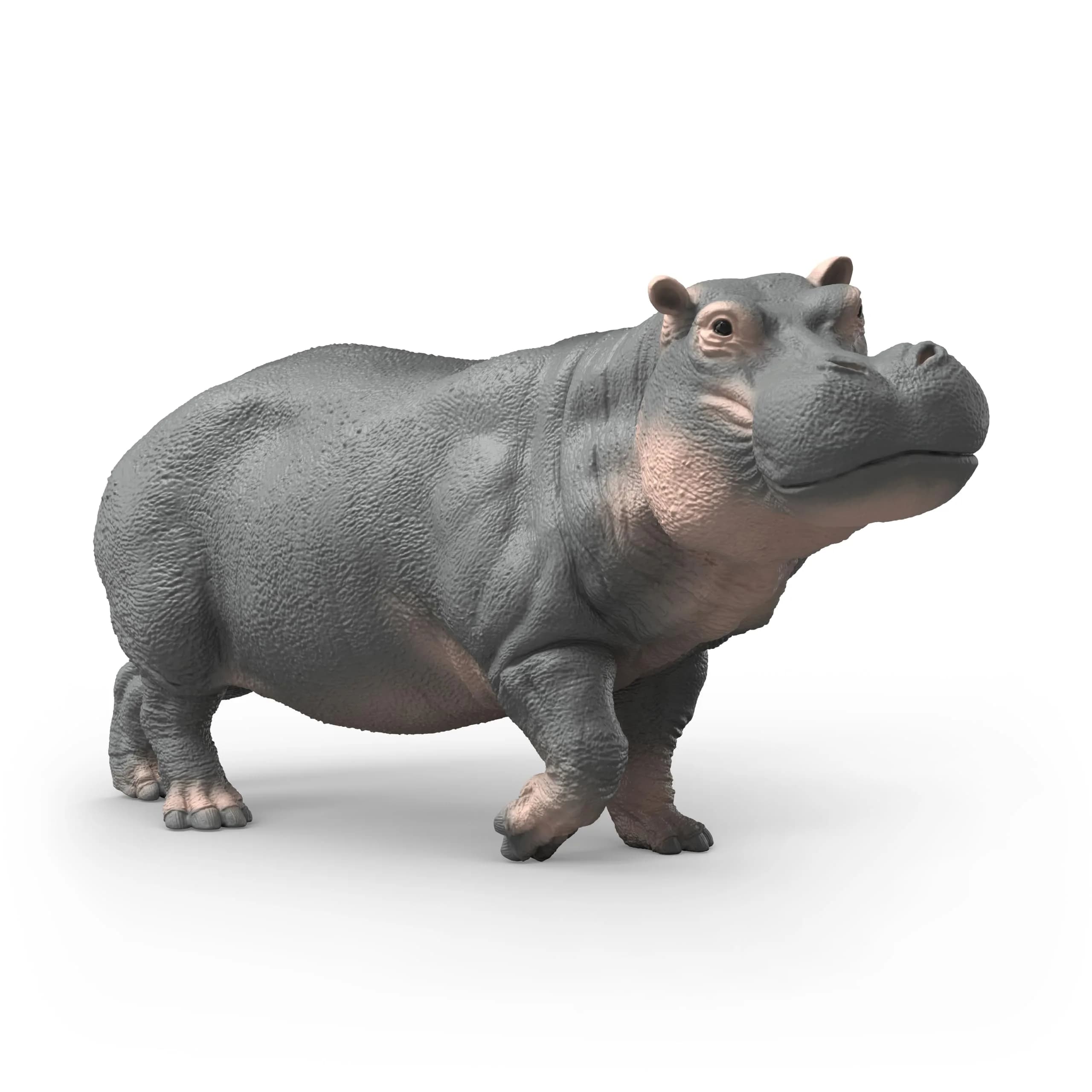 Schleich Hippopotamus Toy Figurine 12.8 cm (5.03 in) | Realistic Wild Life Animal - main product image