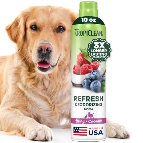 TropiClean Dog Perfume, Berry & Coconut Scented Dog Deodorizing Spray, 10oz | 3X Long-Lasting Fragrance for Dogs thumbnail 1