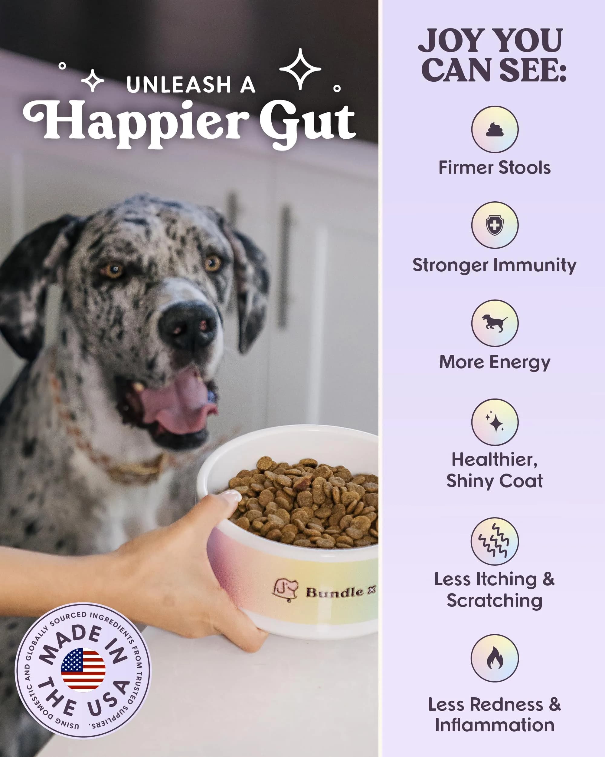 Bundle x Joy Salmon Probiotic Dry Dog Food | Grain-Free, Poultry-Free, 24lb thumbnail 4