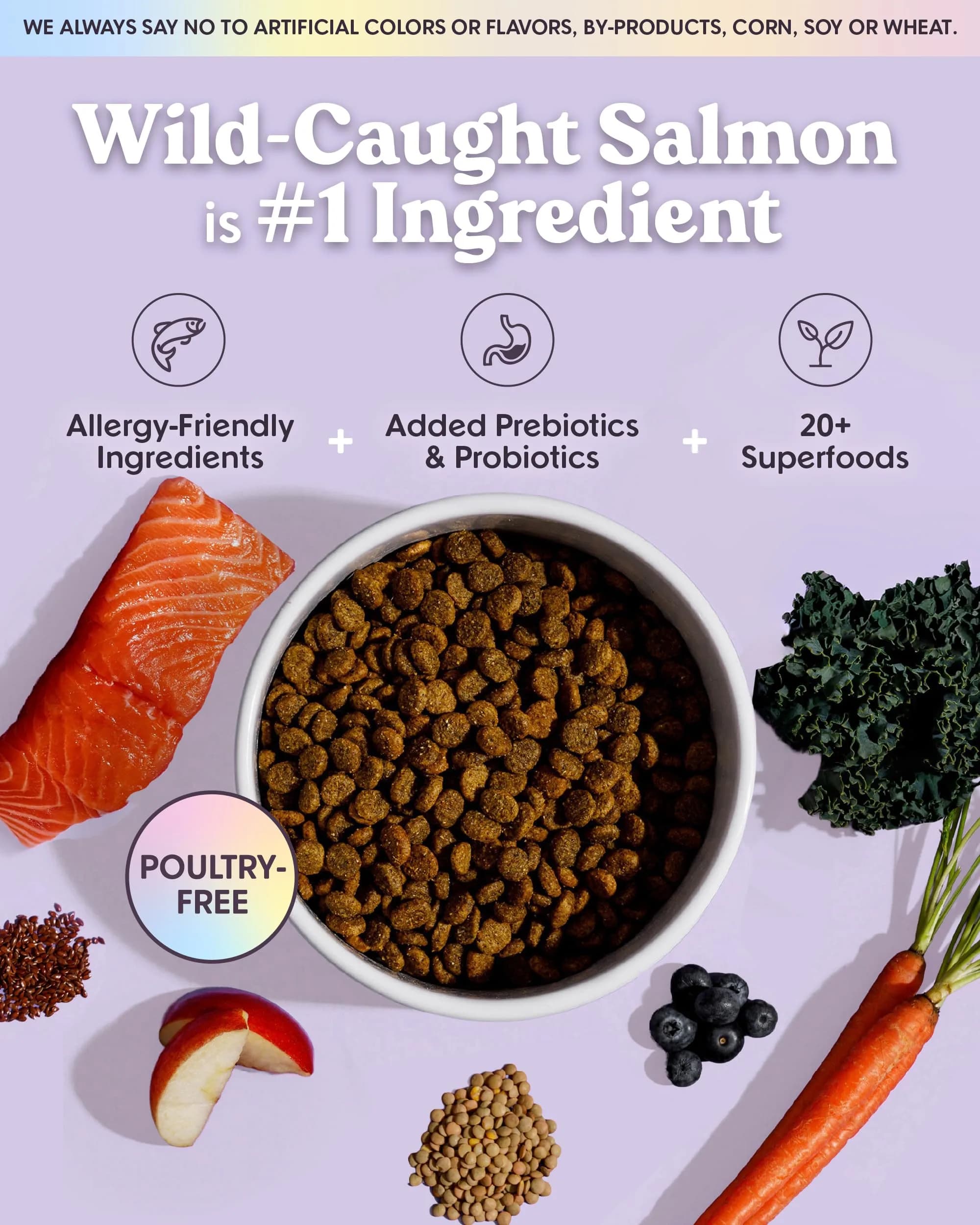 Bundle x Joy Salmon Probiotic Dry Dog Food | Grain-Free, Poultry-Free, 24lb thumbnail 2