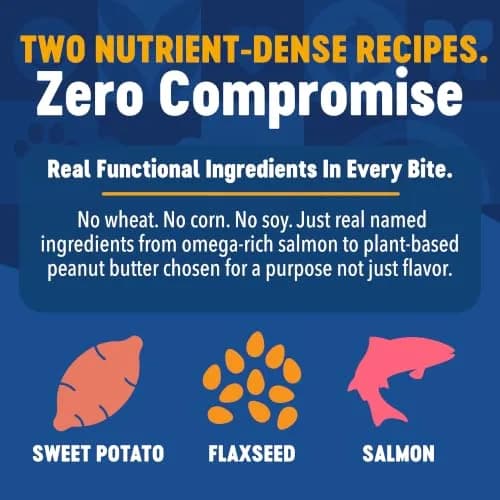 Finley's Salmon Hearty Bites Soft Chewy Dog Treats 12oz (340g) | Nutrient-Rich, Wholesome & Made in USA thumbnail 5
