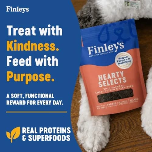 Finley's Salmon Hearty Bites Soft Chewy Dog Treats 12oz (340g) | Nutrient-Rich, Wholesome & Made in USA thumbnail 3