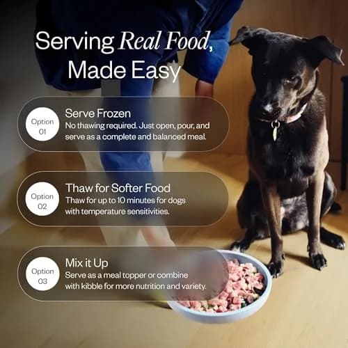 Maev Human-Grade Frozen Beef Dog Food, Hip & Joint Support, 5 lb | Supports Mobility & Inflammation thumbnail 5