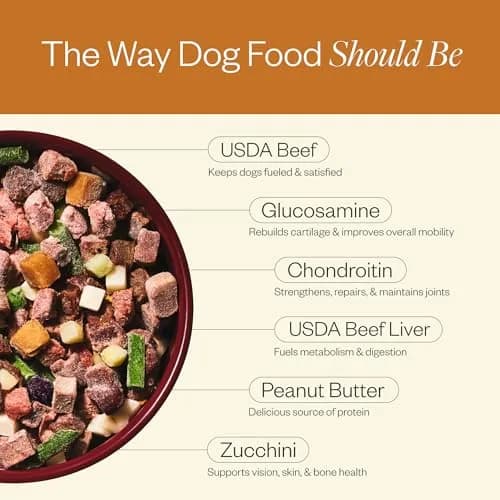Maev Human-Grade Frozen Beef Dog Food 10 lb | Hip & Joint Support with Real Beef & Vegetables thumbnail 4