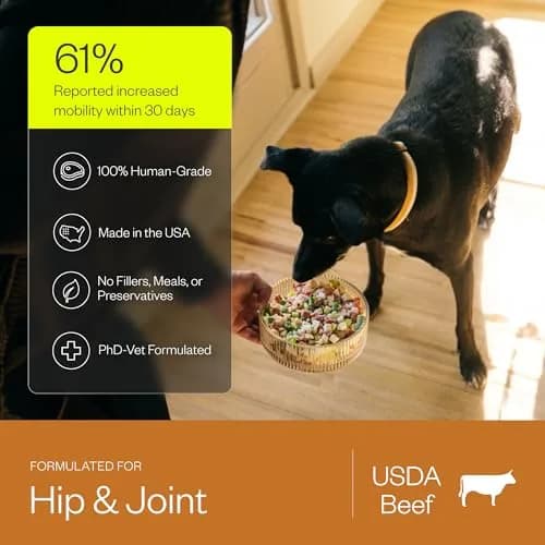 Maev Human-Grade Frozen Beef Dog Food 10 lb | Hip & Joint Support with Real Beef & Vegetables thumbnail 3