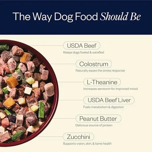 Maev Human-Grade Frozen Beef Dog Food 15 lb | Calming & Anxiety Support with Real Beef thumbnail 4
