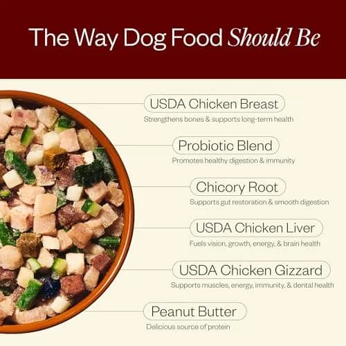 Maev Human-Grade Frozen Chicken Dog Food 10 lb | Supports Digestion & Weight thumbnail 4