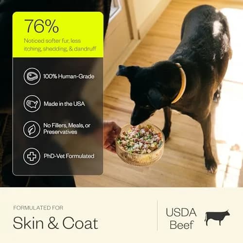 Maev Human-Grade Frozen Beef Dog Food 15 lb | Supports Skin & Coat, Made in USA thumbnail 3