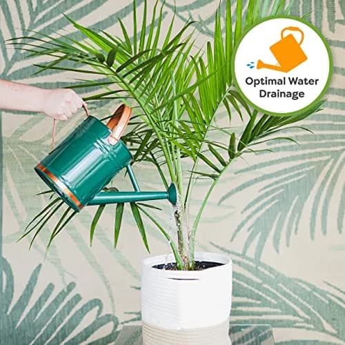 Perfect Plants Indoor Plant Soil, 8 qt (2-Pack), Coco Coir Potting Mix | Organic, Moisture-Drain & Easy to Store thumbnail 5