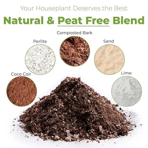 Perfect Plants Indoor Plant Soil, 8 qt (2-Pack), Coco Coir Potting Mix | Organic, Moisture-Drain & Easy to Store thumbnail 2