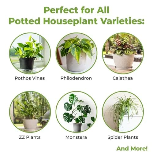 Perfect Plants Indoor Plant Soil, 8 qt (2-Pack), Coco Coir Potting Mix | Organic, Moisture-Drain & Easy to Store thumbnail 3
