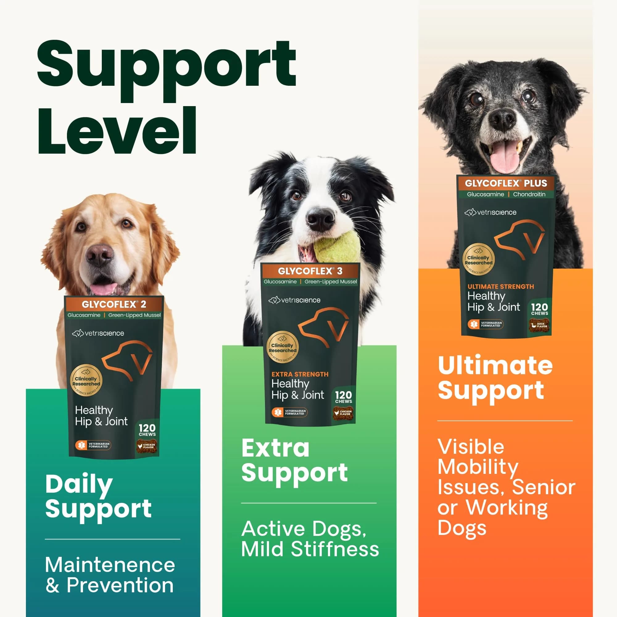 VetriScience Extra Strength Healthy Hip & Joint Chews for Dogs, Chicken Flavour, 60 Count (Pack of 2) - view 2